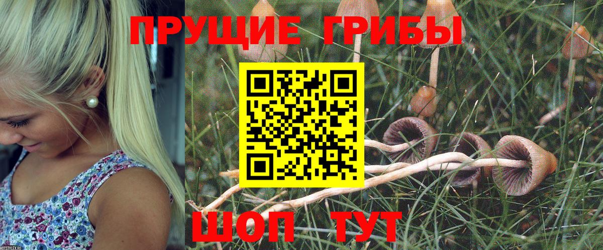 Галлюциногенные грибы GOLDEN TEACHER  Вход с VPN  Выкса  Галлюциногенные грибы мухоморы 